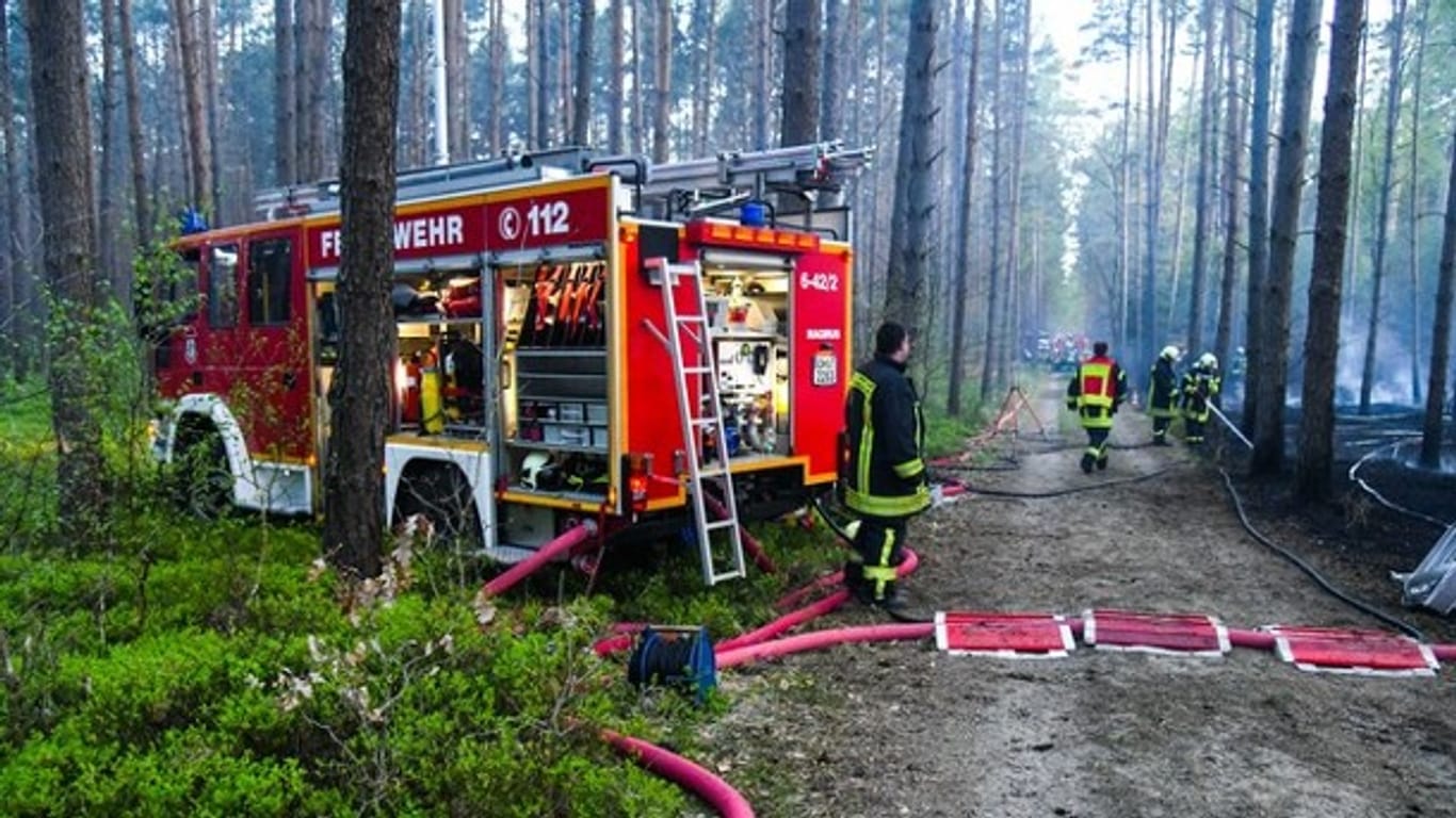 Feuerwehr im Einsatz: In einem Waldstück im nördlichen Brandenburg ist ein großes Feuer ausgebrochen.
