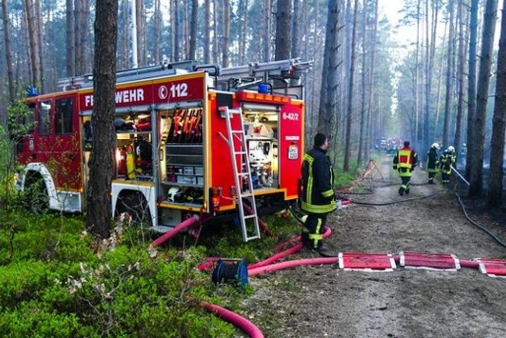 Feuerwehr im Einsatz: In einem Waldstück im nördlichen Brandenburg ist ein großes Feuer ausgebrochen.