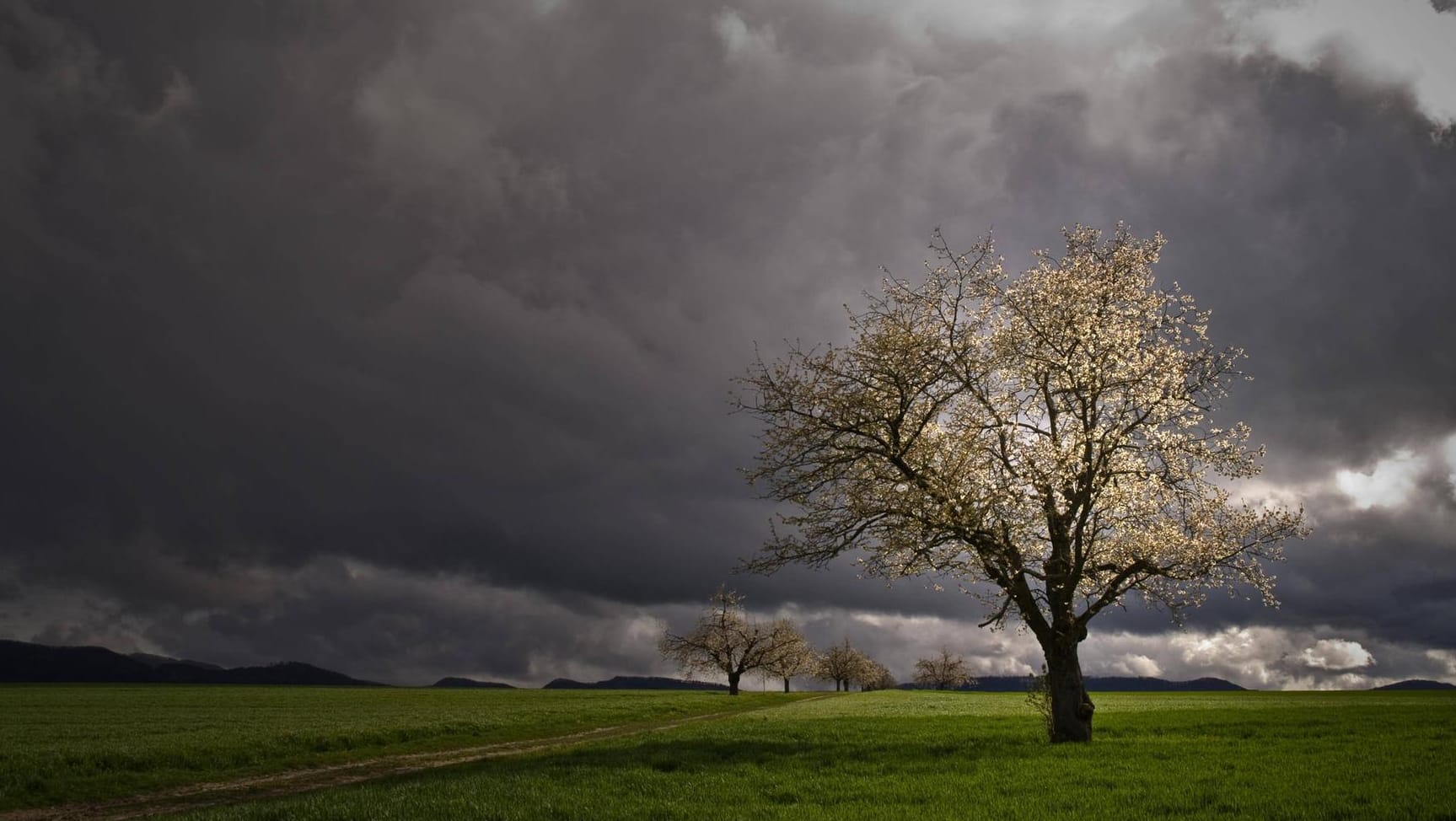 Warm und wechselhaft: Das Wetter in der Woche nach Ostern bringt warme Temperaturen und örtlich Regen oder gar Gewitter. (Symbolfoto) Warm und wechselhaft: Das Wetter in der Woche nach Ostern bringt warme Temperaturen und örtlich Regen oder gar Gewitter. (Symbolfoto)