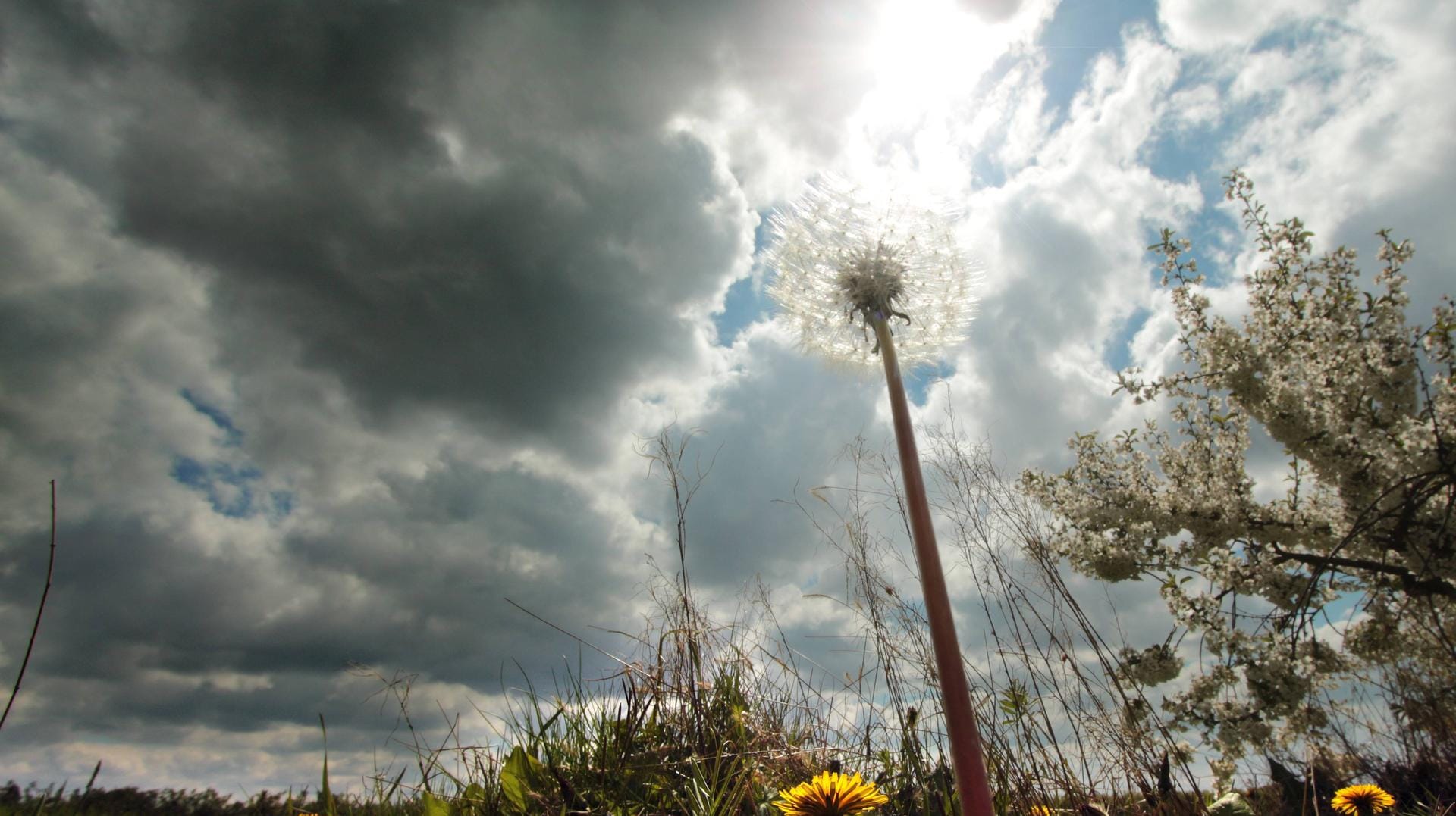 Nach frühsommerlichen Temperaturen kommt der Wechsel: Das Wetter bleibt unbeständig und die Temperaturen gehen weiter zurück.