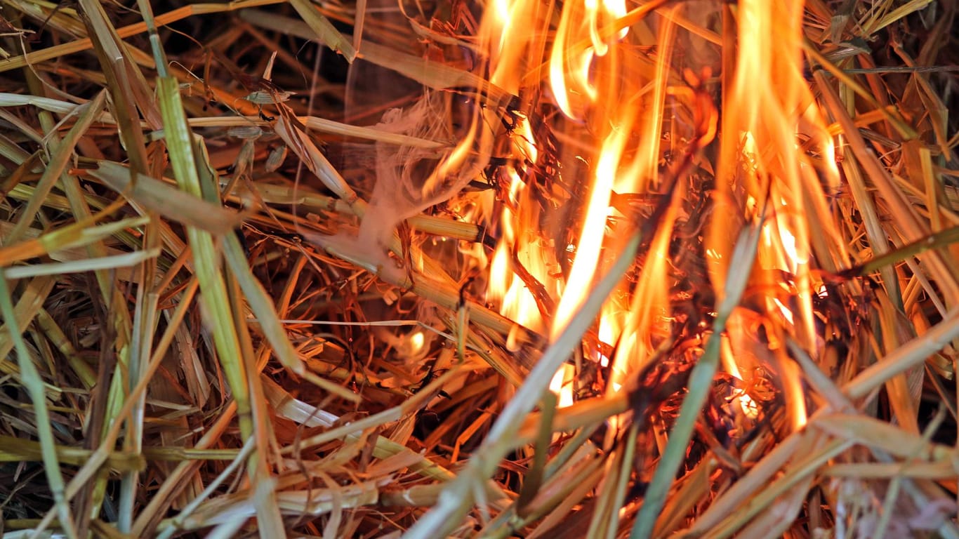 In Brand geratenes Stroh: Ein Kind hat versehentlich ein Feuer entfacht. (Symbolbild)