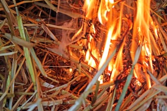In Brand geratenes Stroh: Ein Kind hat versehentlich ein Feuer entfacht. (Symbolbild)