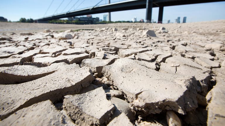 Am Ufer des Rheins sind durch die anhaltende Trockenheit Risse entstanden