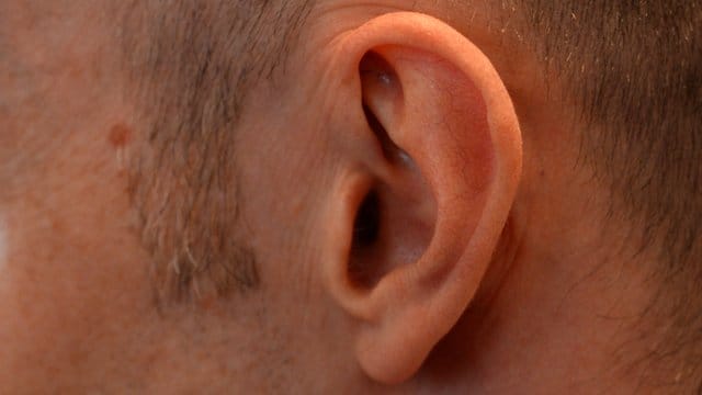 Wer länger Lärm ausgesetzt ist, sollte dem Ohr ab und an eine Ruhepause gönnen. Wer länger Lärm ausgesetzt ist, sollte dem Ohr ab und an eine Ruhepause gönnen.