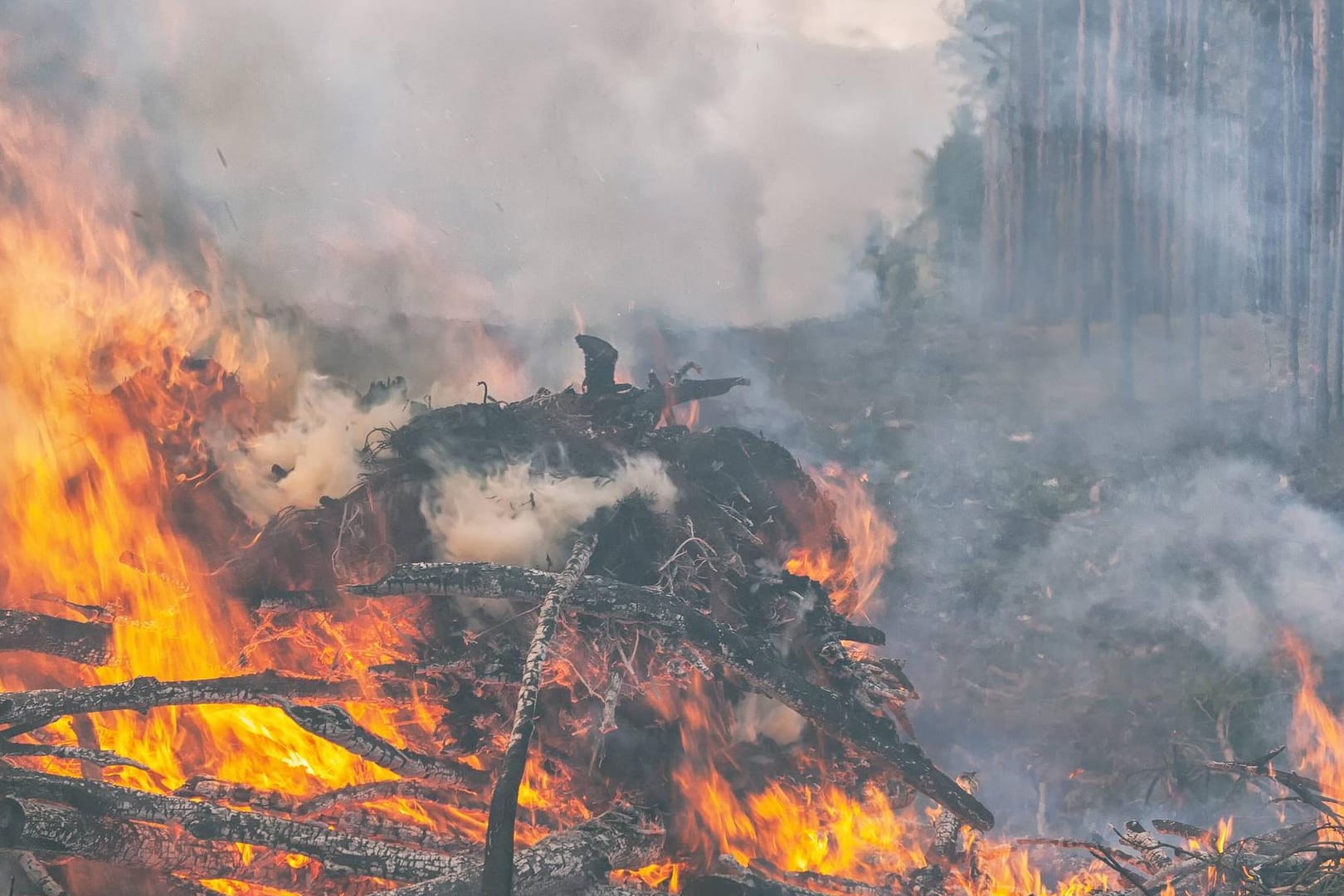 Waldbrand: Fahrlässige und vorsätzliche Brandstiftung sind Straftaten, schwere Fälle können mit Gefängnis bestraft werden.