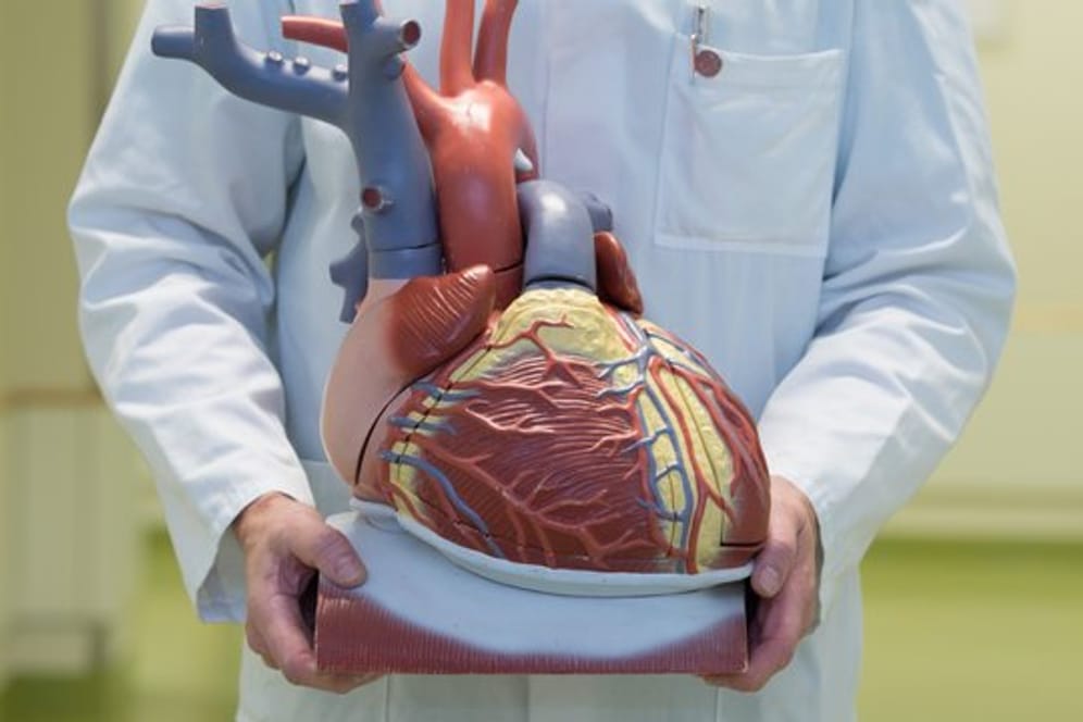 Herzerkrankungen seien laut DGK die häufigste Todesursache in Deutschland.