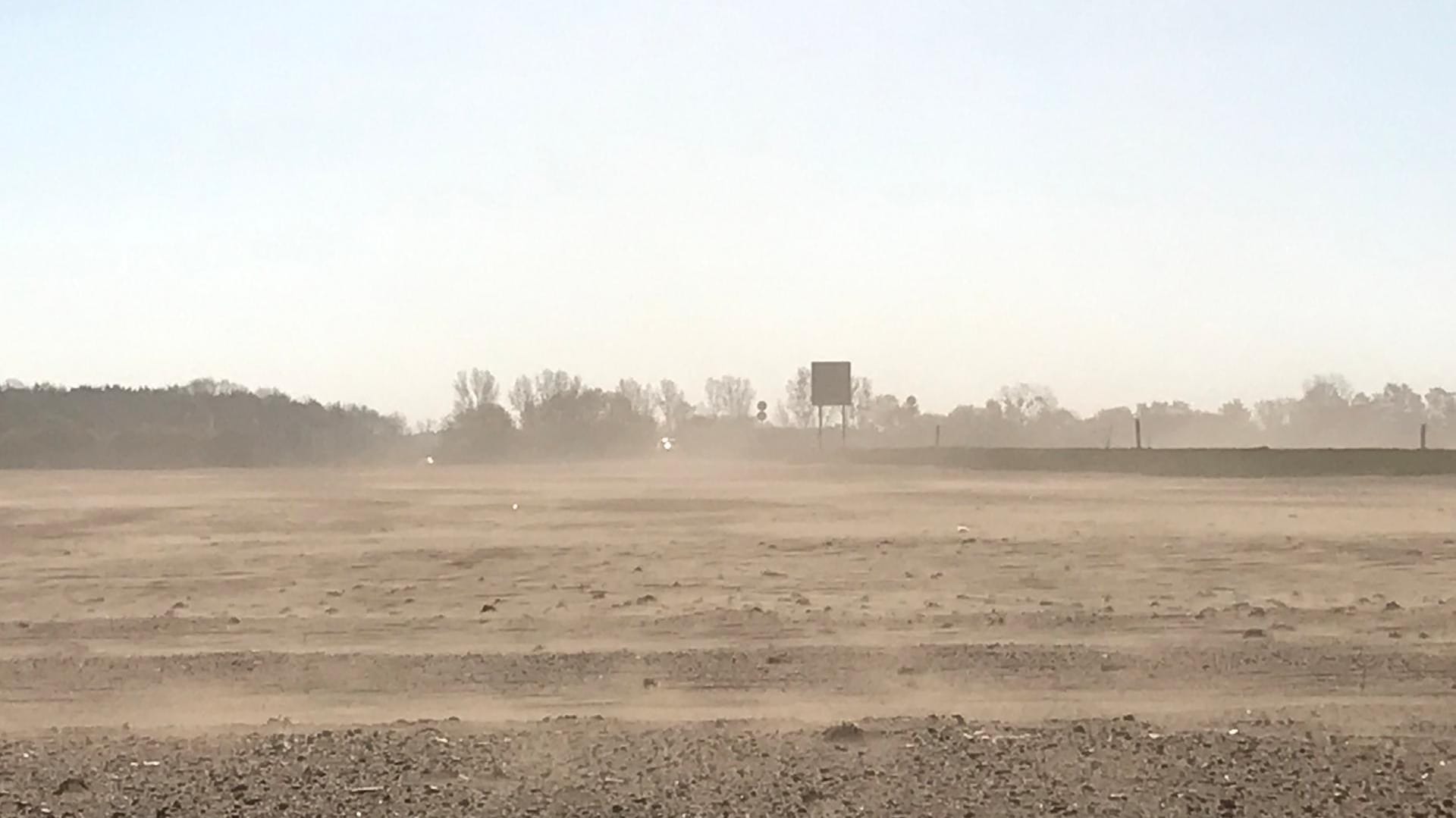 Feld bei Liebenwalde: Wind wirbelt Sand auf und weht ihn hinüber zur B 167.