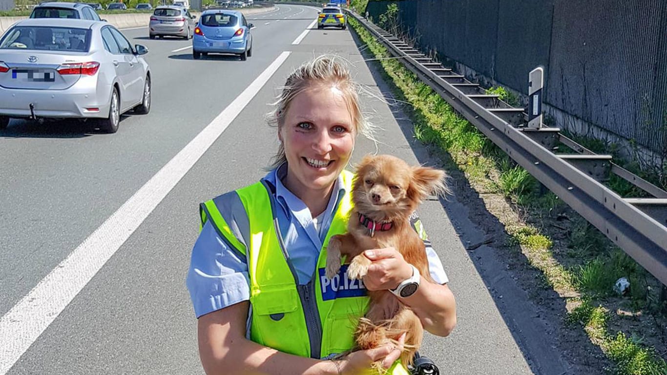 Eine Beamtin der Autobahnpolizeiwache Hagen hält die gerettete Hundedame Mia auf dem Seitenstreifen der Autobahn 1 in ihren Händen.