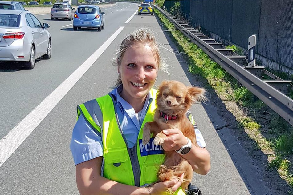 Eine Beamtin der Autobahnpolizeiwache Hagen hält die gerettete Hundedame Mia auf dem Seitenstreifen der Autobahn 1 in ihren Händen.