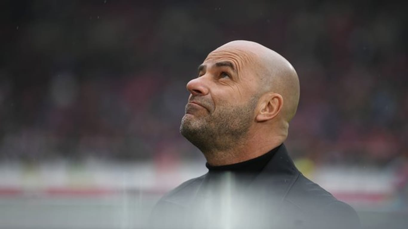 Blickt mit Leverkusen Richtung Königsklasse: Bayer-Coach Peter Bosz.