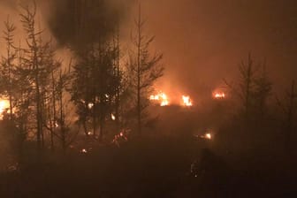 Der Seulingswald im hessischen Landkreis Hersfeld-Rotenburg: Dort hat ein Blitzschlag am Mittwochabend einen Brand ausgelöst.