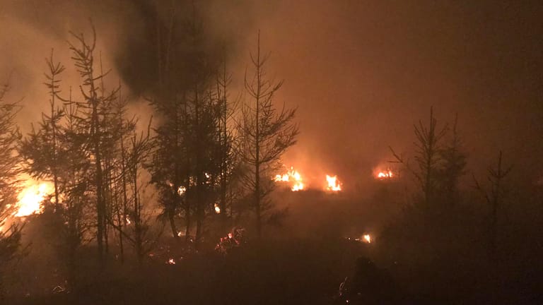 Flammen lodern im Seulingswald: Immer wieder flammen Brände auf. Die Böden – besonders im Osten Deutschlands – sind viel zu trocken.