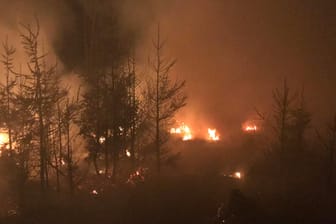 Flammen lodern im Seulingswald: Immer wieder flammen Brände auf. Die Böden – besonders im Osten Deutschlands – sind viel zu trocken.