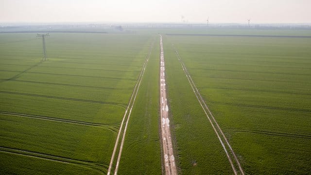 Luftaufnahme eines Ackers bei Wörlitz in Sachsen-Anhalt.