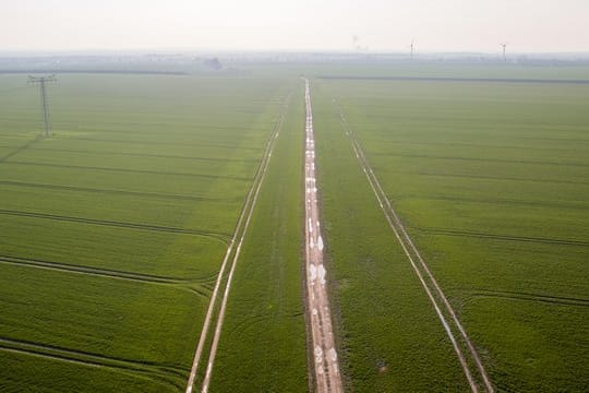 Luftaufnahme eines Ackers bei Wörlitz in Sachsen-Anhalt.