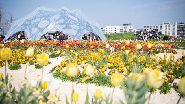Blühende Tulpen bei der Eröffnung der Bundesgartenschau in Heilbronn.