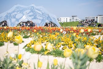 Blühende Tulpen bei der Eröffnung der Bundesgartenschau in Heilbronn.