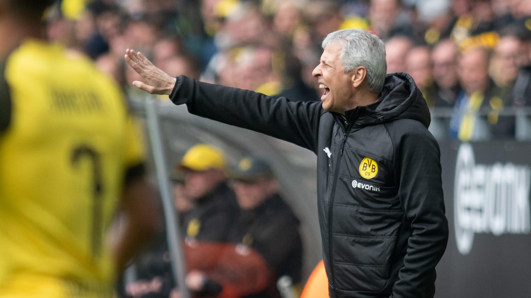 Verärgert: BVB-Trainer Lucien Favre ist mit dem Handelfmeter gegen sein Team nicht einverstanden.