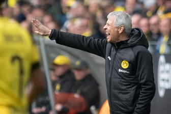 Verärgert: BVB-Trainer Lucien Favre ist mit dem Handelfmeter gegen sein Team nicht einverstanden.