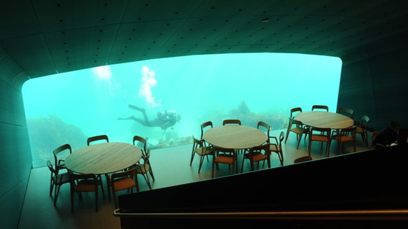 Ein Taucher schwimmt an einem Fenster des Unterwasser-Restaurants "Under" vorbei.