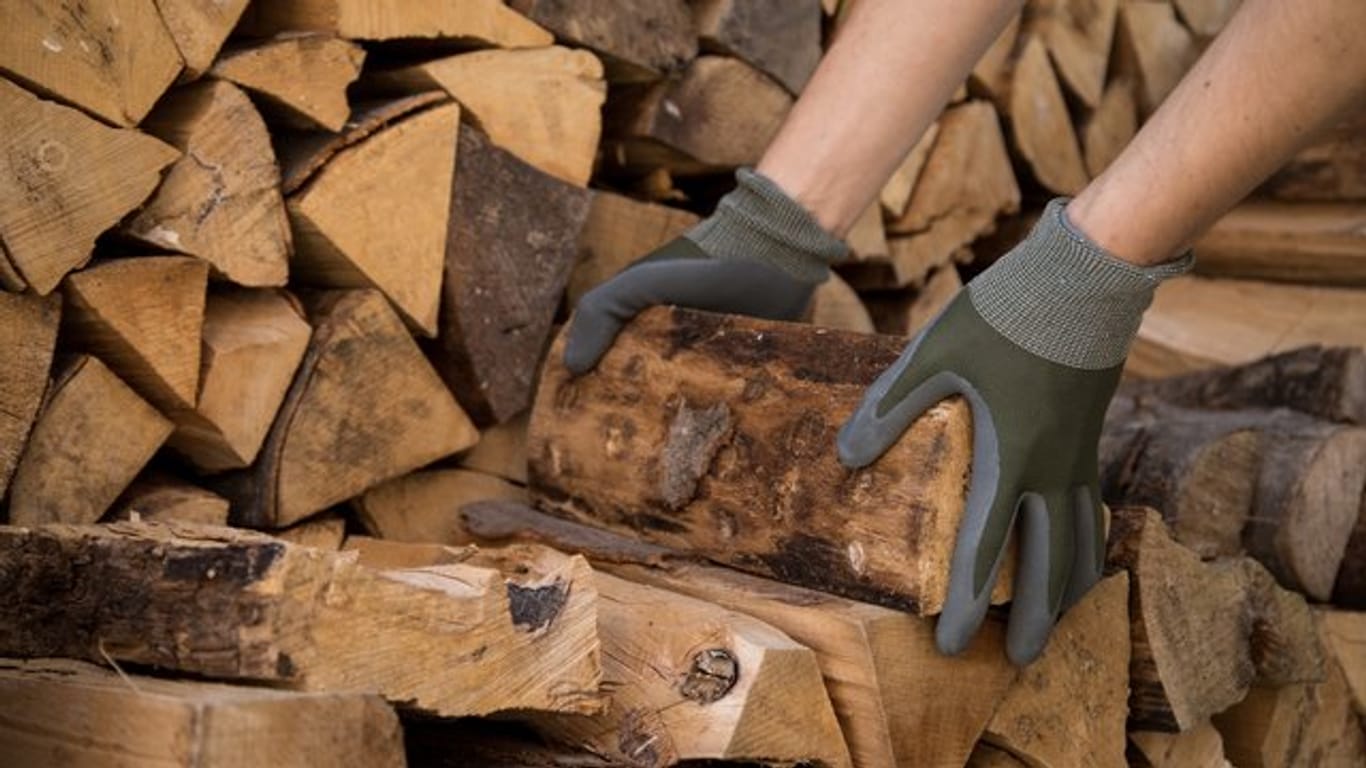 Holz-Nachschub für den Kamin muss nach dem Schlagen im Wald zum Trocknen gestapelt werden.