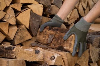 Holz-Nachschub für den Kamin muss nach dem Schlagen im Wald zum Trocknen gestapelt werden.