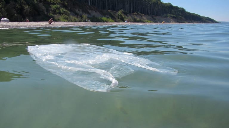 Plastiktüte im Meer: Britische Forscher haben getestet, wie schnell sich biologisch abbaubare Kunststofftüten wirklich zersetzen.