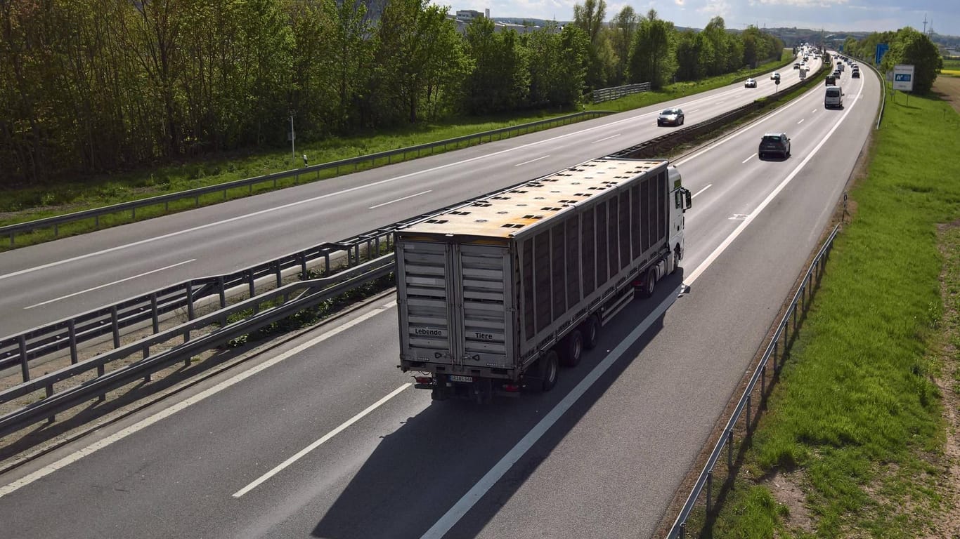 Ein Lastwagen auf der Autobahn: Das Lkw-Unternehmen hat keine Genehmigung, Tierprodukte zu transportieren. (Symbolbild)