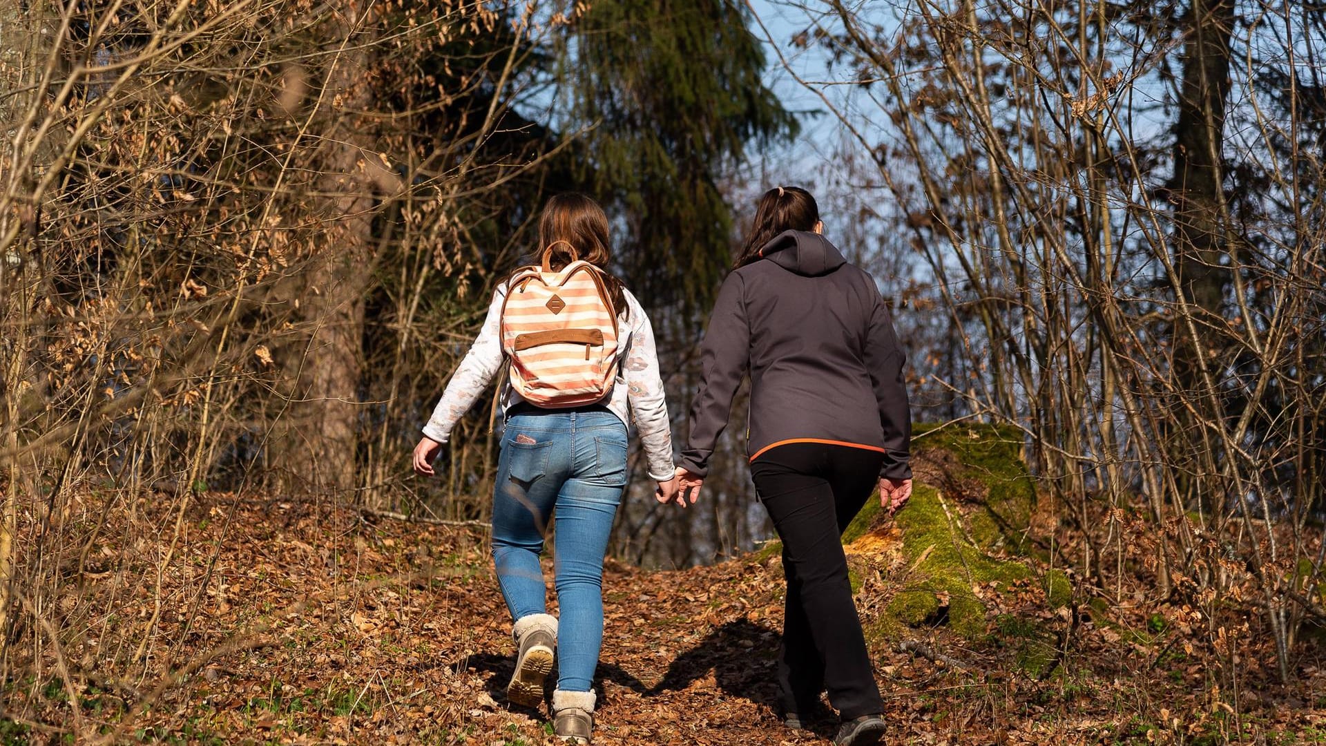 Kinder wandern im Wald