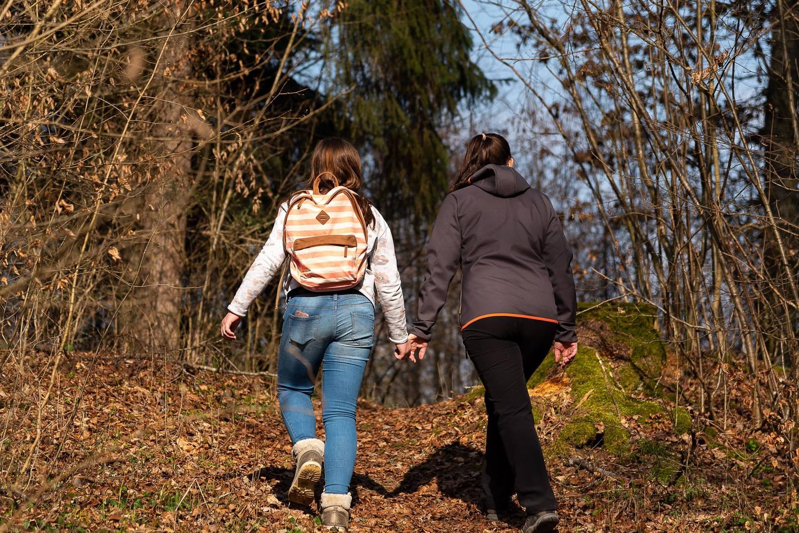 Kinder wandern im Wald
