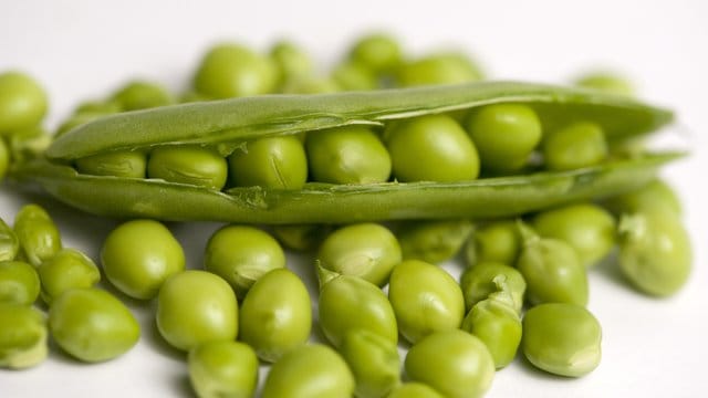Vor allem für Vegetarier und Veganer eignen sich die eiweißreichen Hülsenfrüchte. Vor allem für Vegetarier und Veganer eignen sich die eiweißreichen Hülsenfrüchte.