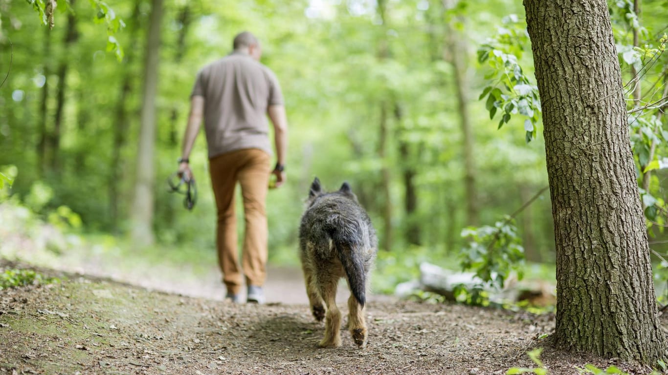 Mann und Hund beim Spaziergang: In vielen Parks in Wuppertal dürfen Hunde auch ohne Leine toben.