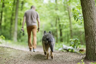 Mann und Hund beim Spaziergang: In vielen Parks in Wuppertal dürfen Hunde auch ohne Leine toben.