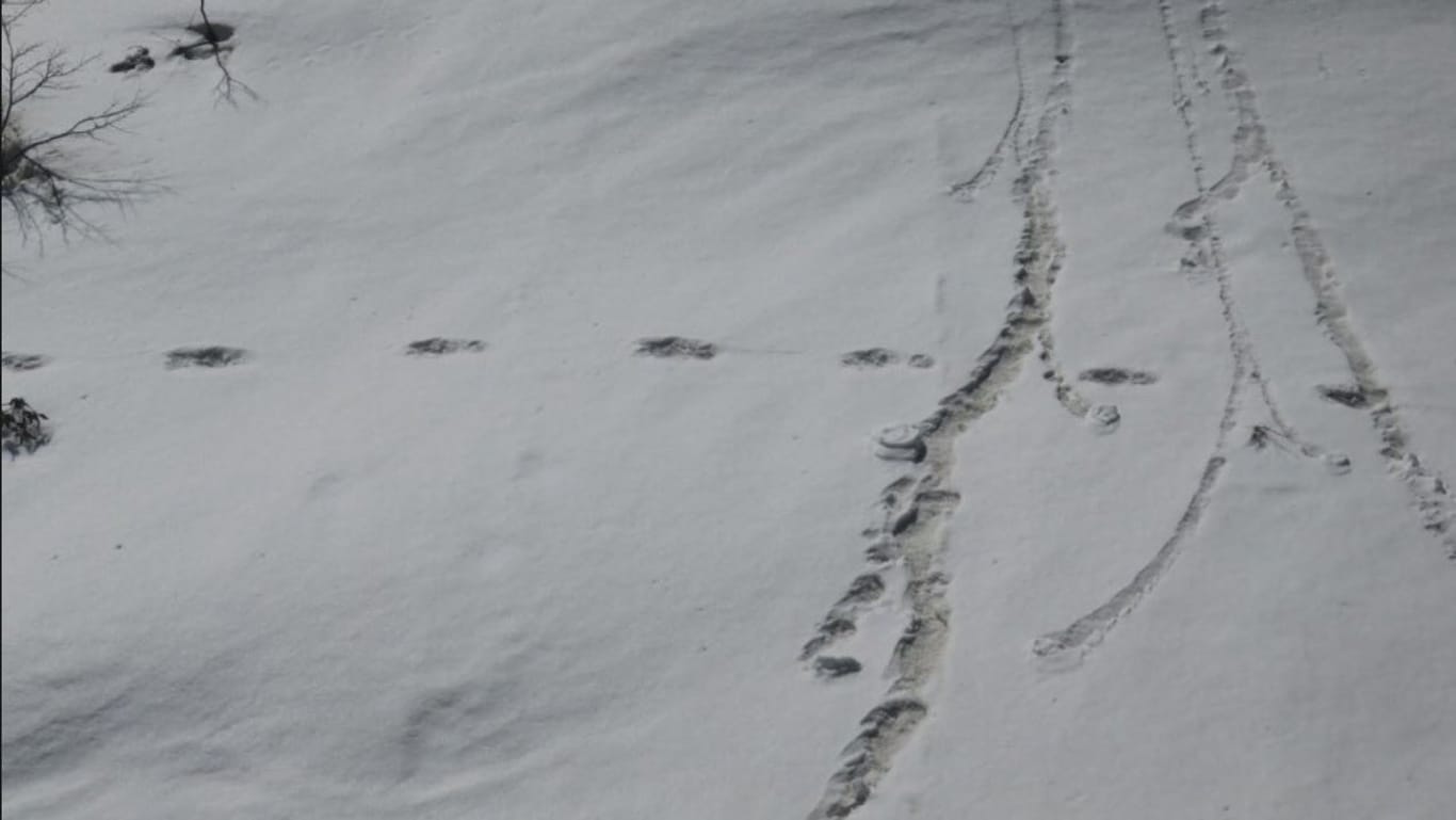 Die Spuren, die die indische Armee entdeckte: Die Soldaten dachten, es handele sich um die Fußabdrücke eines Yetis.