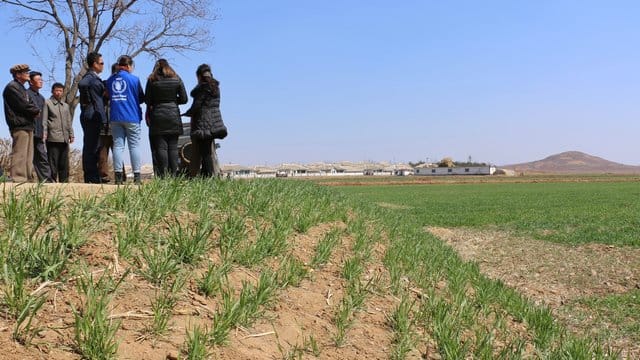 Mitglieder des World Food Programms WFP und Landwirte machen auf drohende Ernteausfälle aufmerksam. Mitglieder des World Food Programms WFP und Landwirte machen auf drohende Ernteausfälle aufmerksam.