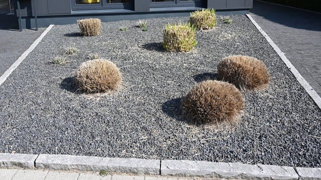 Schottergarten: Pflanzen ragen aus einem Vorgarten mit grauen und schwarzen Kieselsteinen.