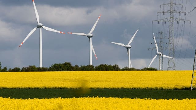 Eine Hochspannungsleitung mit Windrädern am Horizont führt durch blühende Rapsfelder im Landkreis Hildesheim.