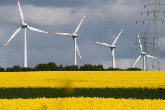 Eine Hochspannungsleitung mit Windrädern am Horizont führt durch blühende Rapsfelder im Landkreis Hildesheim.