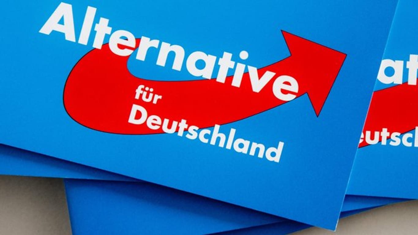 Das Logo der Alternative für Deutschland (AfD) auf dem Landesparteitag der AfD auf Parteibroschüren.