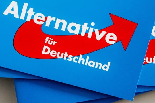 Das Logo der Alternative für Deutschland (AfD) auf dem Landesparteitag der AfD auf Parteibroschüren.