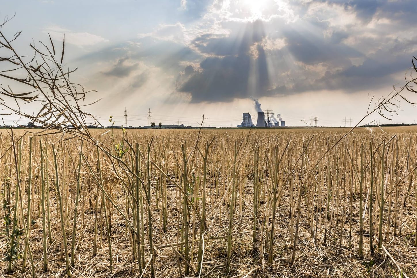 Ein Feld vor dem Braunkohlekraftwerk Neurath in NRW: Klima-Aktivisten wollen den CO2-Ausstoß bis 2040 auf null reduzieren.