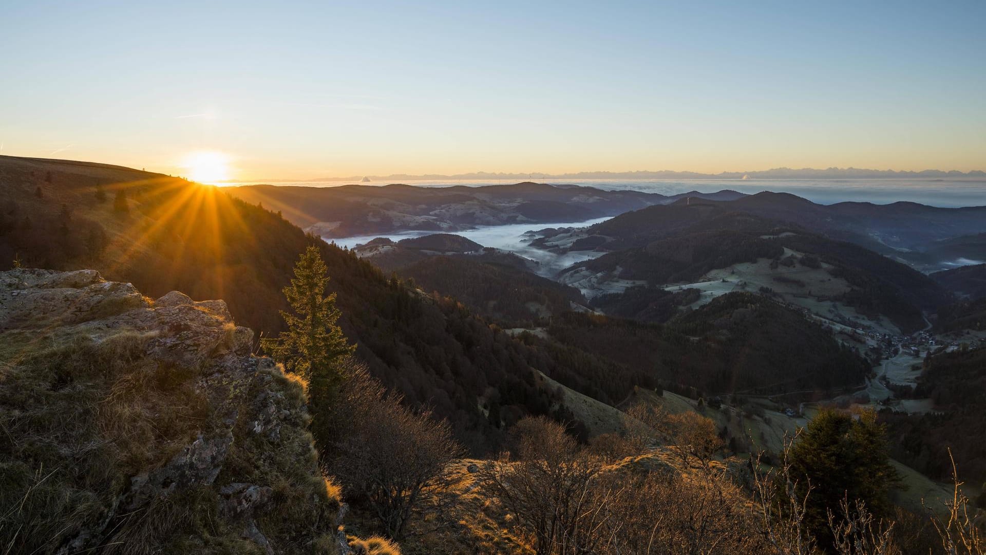 Schwarzwald