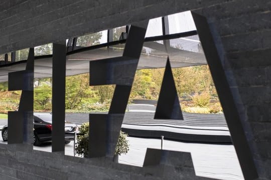 Die FIFA wird bei der Wahl der weltbesten Fußballer erstmals auch die Torhüterin des Jahres küren.