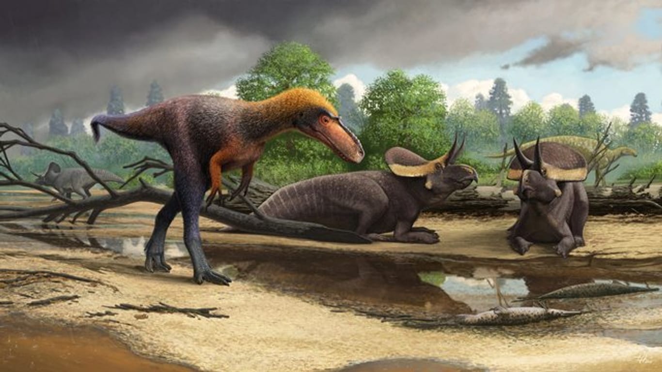 Rekonstruktion des Dinos "Suskityrannus hazelae" aus der Spätkreide im heutigen New Mexico.