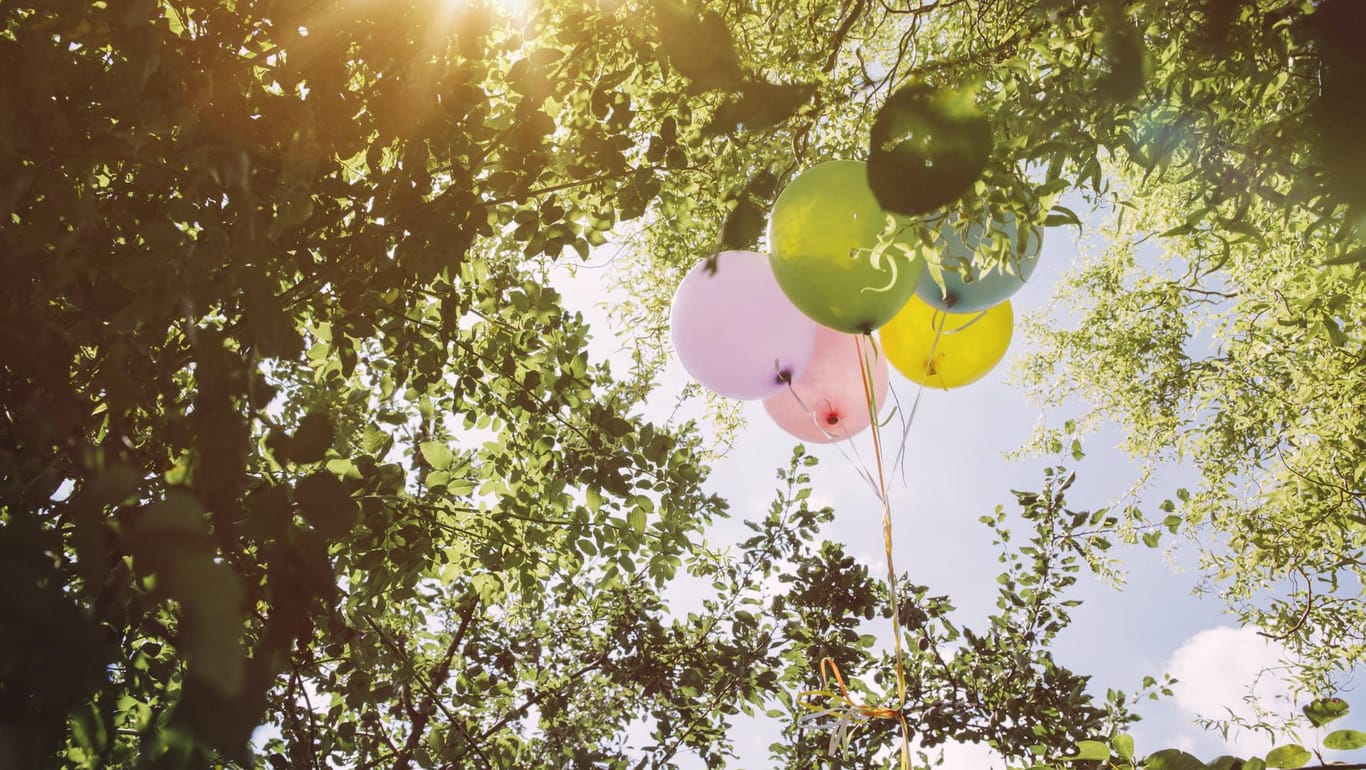 Luftballons hängen im Baum: Die Kinder spielten im Wald, als sie die Tüte entdeckten. (Symbolbild)