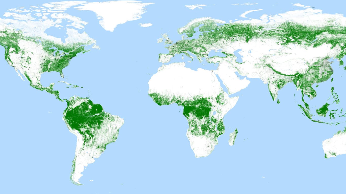 Globale TanDEM-X-Waldkarte: Die Weltkarte aus Satellitendaten stellt die Ausdehnung bewaldeter Flächen dar.