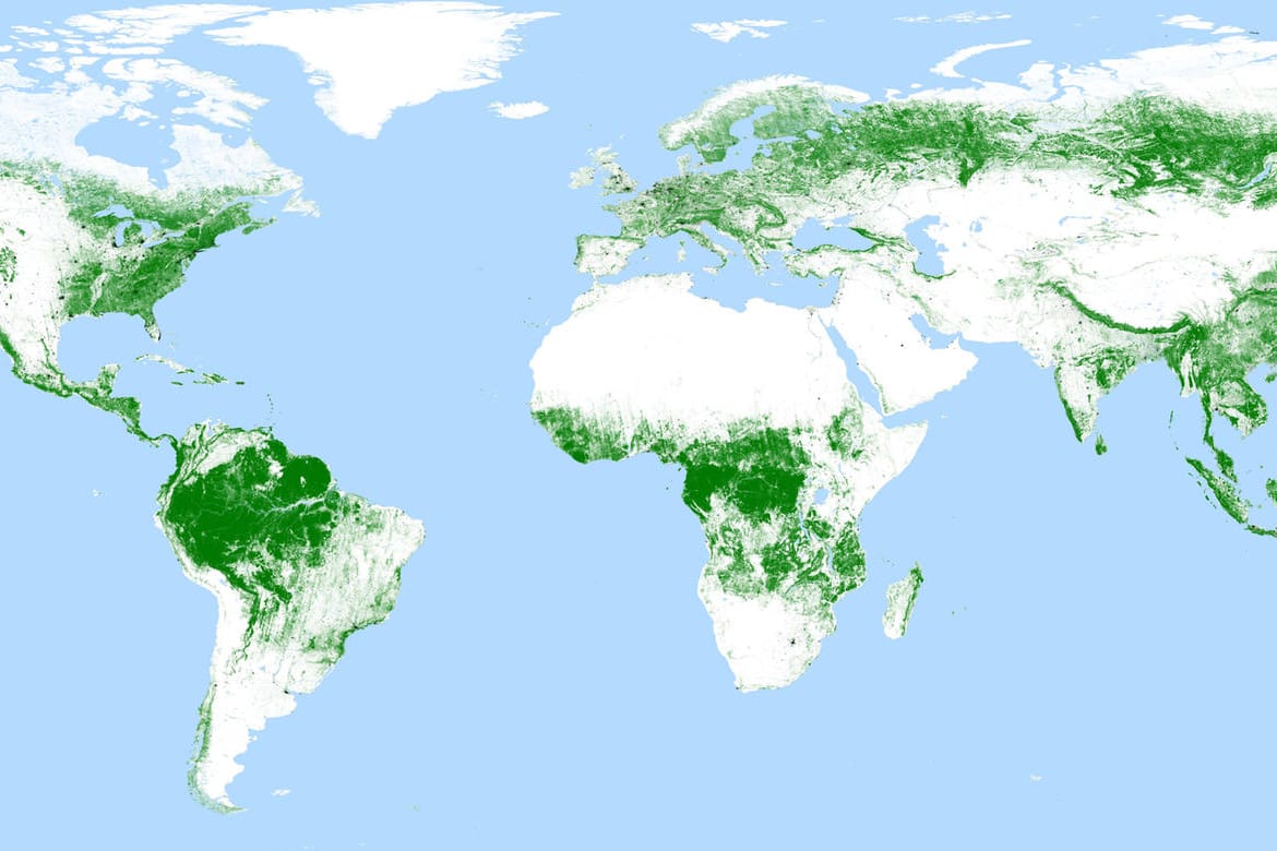 Globale TanDEM-X-Waldkarte: Die Weltkarte aus Satellitendaten stellt die Ausdehnung bewaldeter Flächen dar.