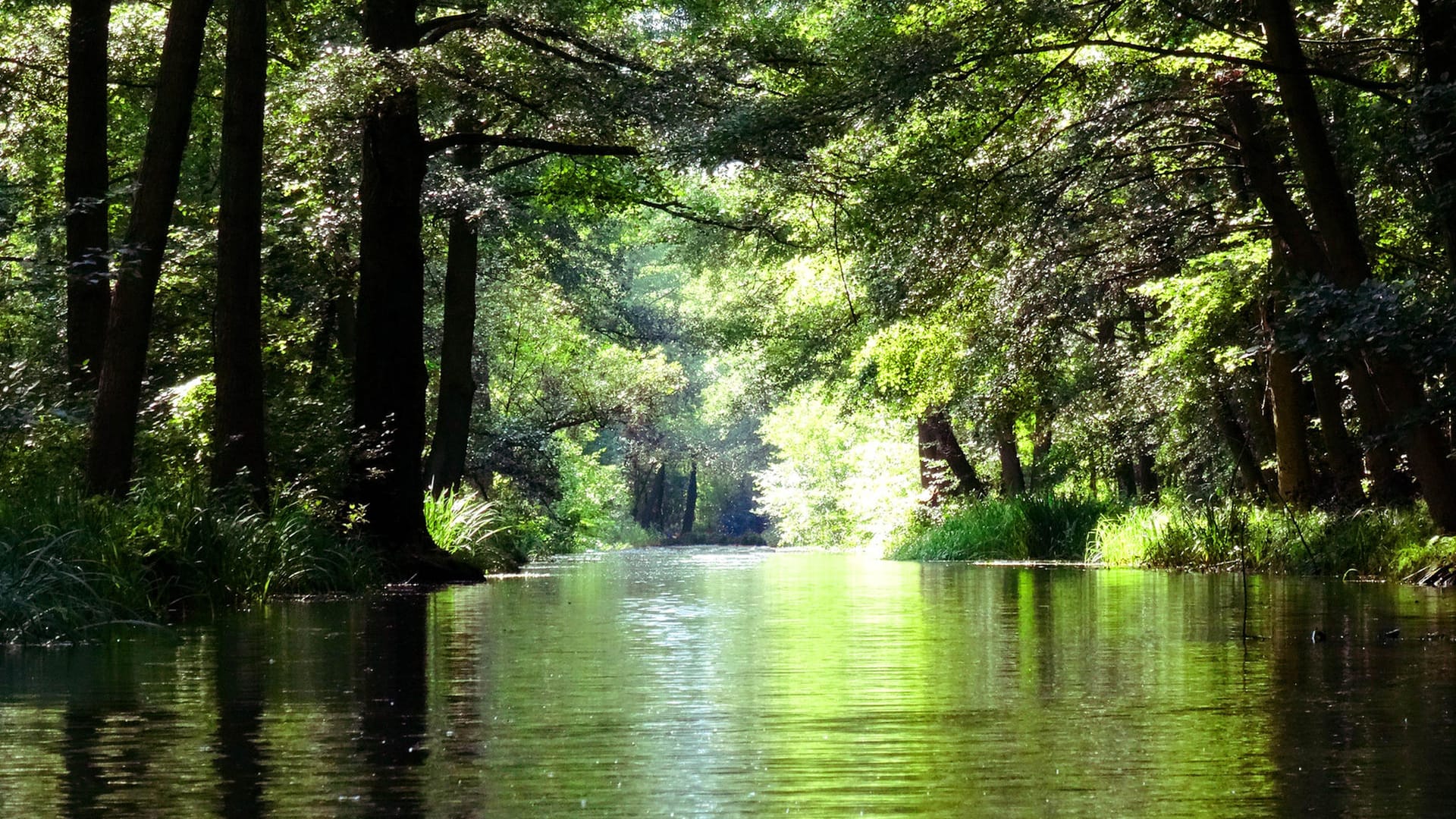 Spreewald: Wer Urlaub in Berlin macht, kann auch einen Tagesausflug zu den verzweigten Wasserwegen etwa 100 Kilometer entfernt unternehmen.