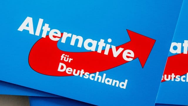 Das Logo der Alternative für Deutschland (AfD) auf Parteibroschüren.