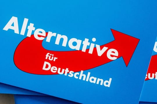 Das Logo der Alternative für Deutschland (AfD) auf Parteibroschüren.